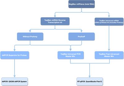 DigiMir Test: Establishing a Novel Pipeline for MiR-371a Quantification Using Droplet Digital PCR in Liquid Biopsies From Testicular Germ Cell Tumor Patients